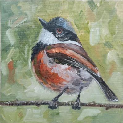 A small but very proud bird (Oil Painting Small). Lapina Albina