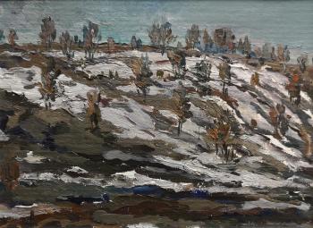 Slope of the ravine (Painting For The Collection). Fedorov Revel
