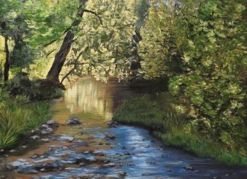 A stream in the forest. Veuz Olga