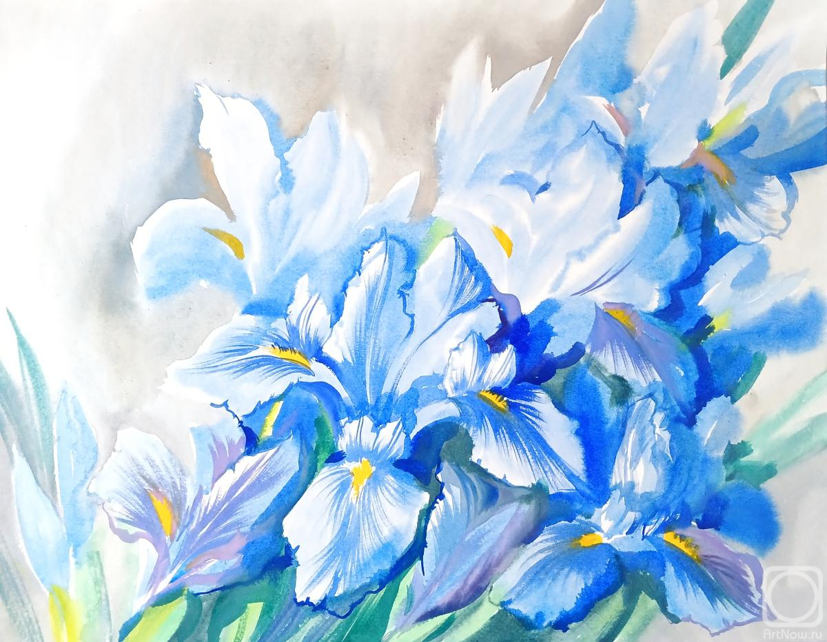 �������. ���������� ���������. ������������ �����