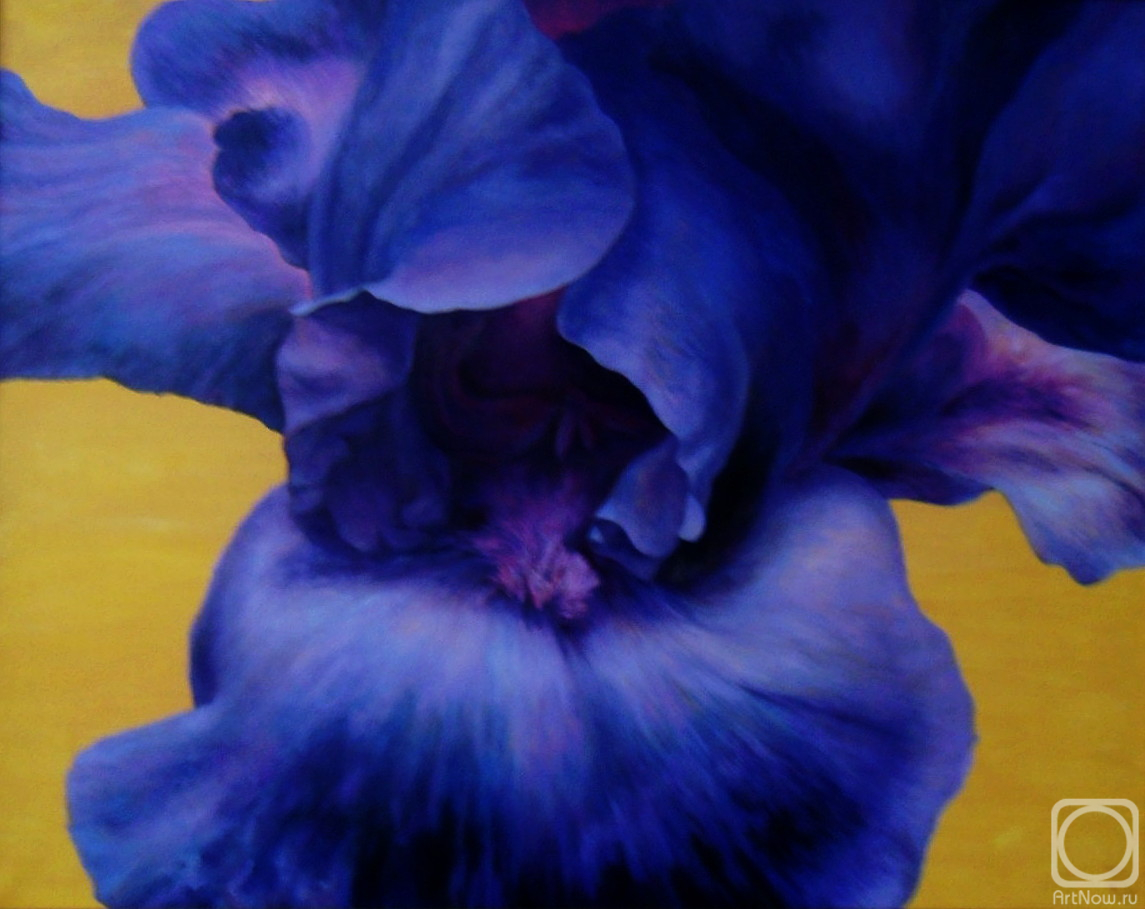 �������� ��������. ���