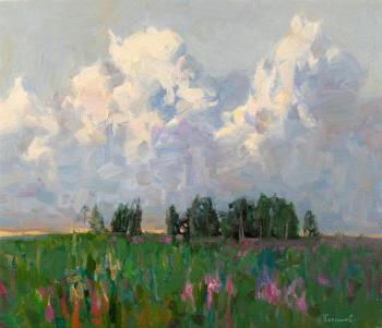 Evening Cloud (Alla Prima). Pleshkov Aleksey