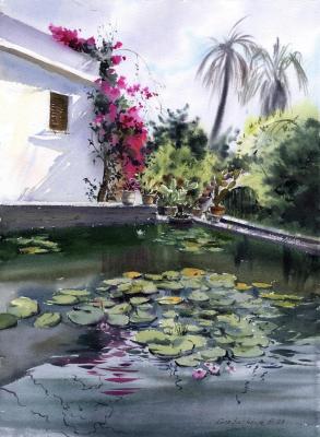 Pond with water lilies #2 (Pond Flowers). Gorbacheva Evgeniya