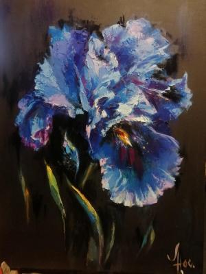 Iris flower. Noskova Lyudmila