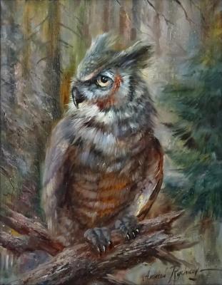 Wise Owl. Rychkov Aleksey