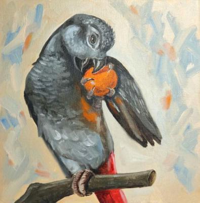 Jaco parrot with tangerine (Painting With A Parrot). Lapina Albina