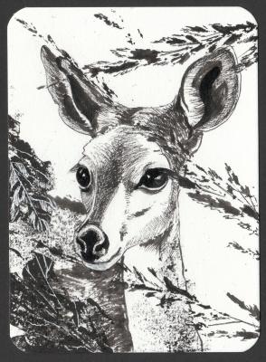 Deer ( ). Masterkova Alyona