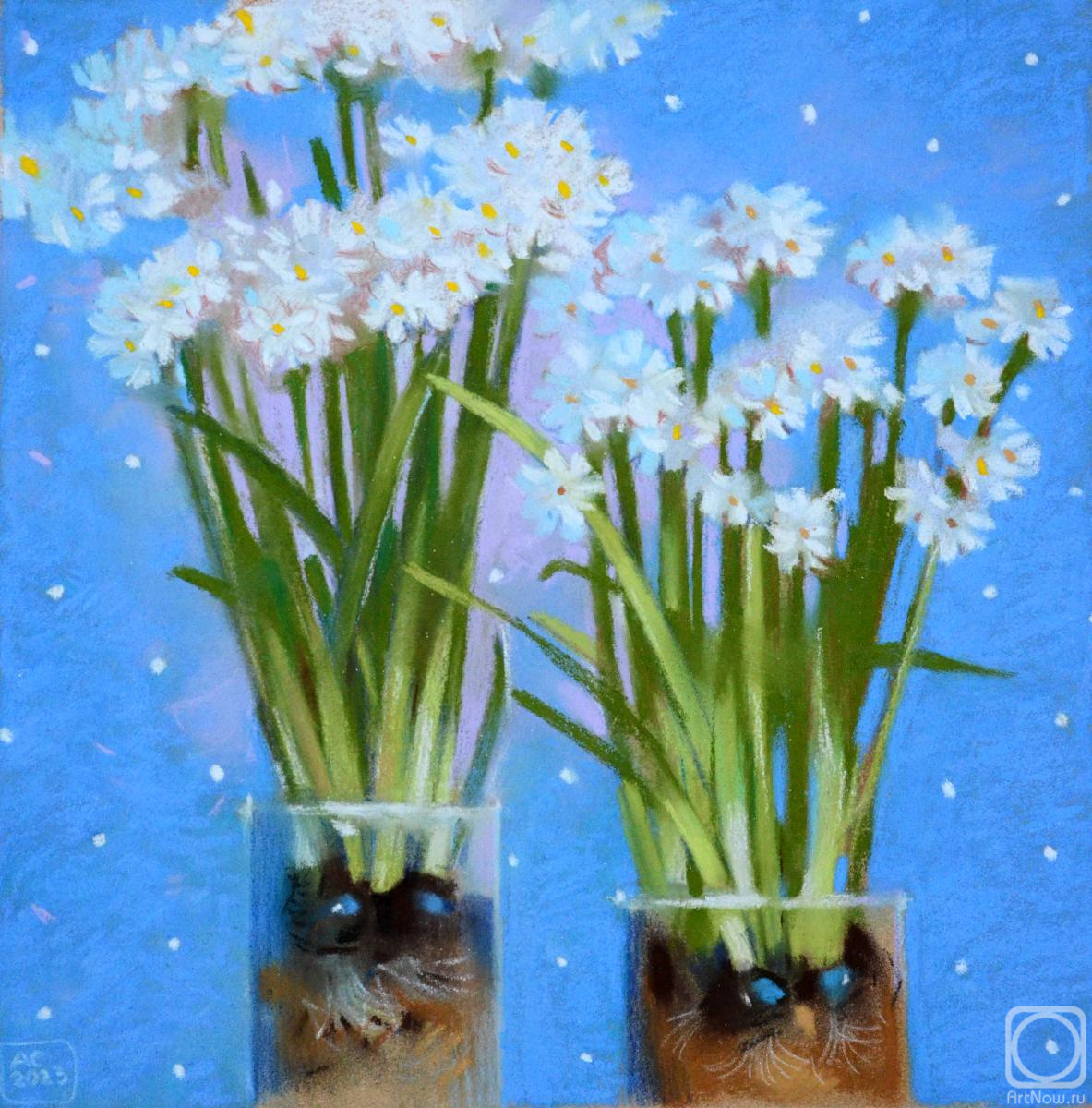 Sergeeva Aleksandra. White flowers on a blue background