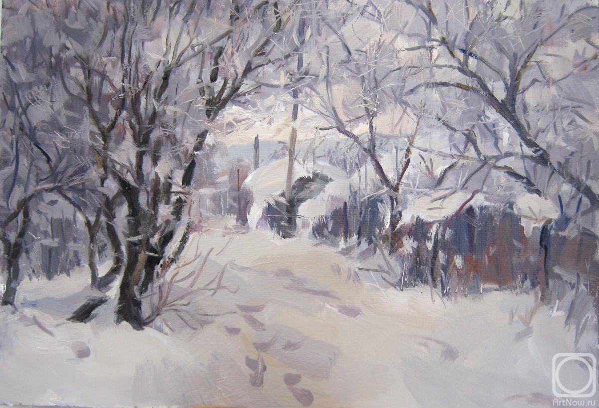 Voronov Vladimir. The first snow fell