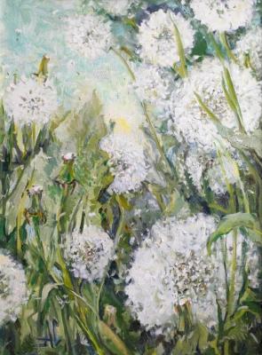 Sun in Dandelions (Herbs Flowers). Serova Aleksandra