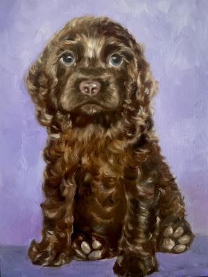 Painting Spaniel puppy. Ushanova Elena