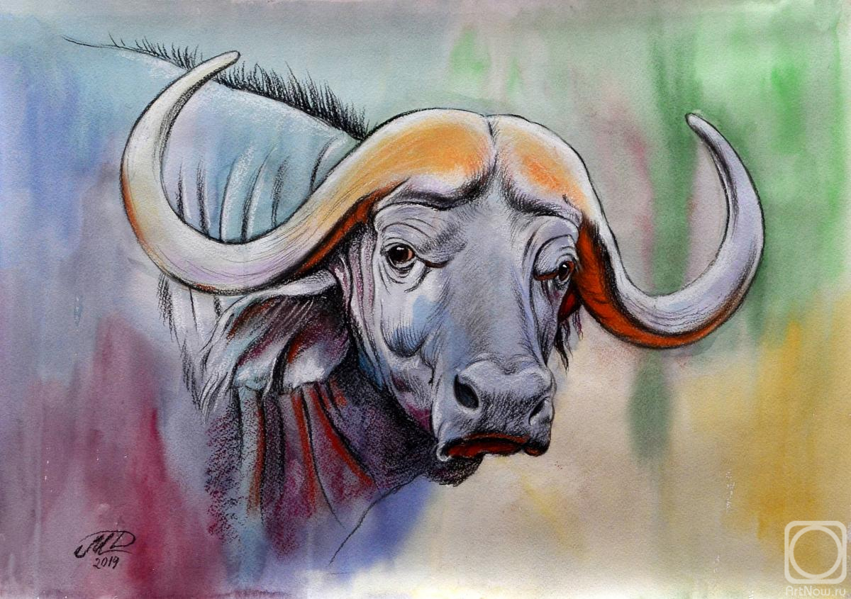 Manakyan David. The buffalo