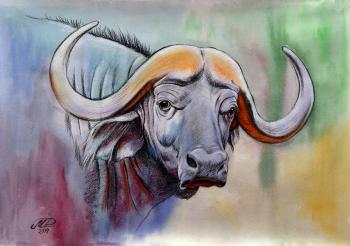 The buffalo. Manakyan David