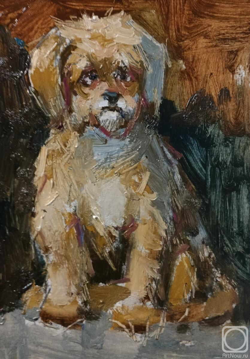 �������. ������� �������. ���������