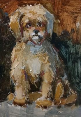 ������� ����������