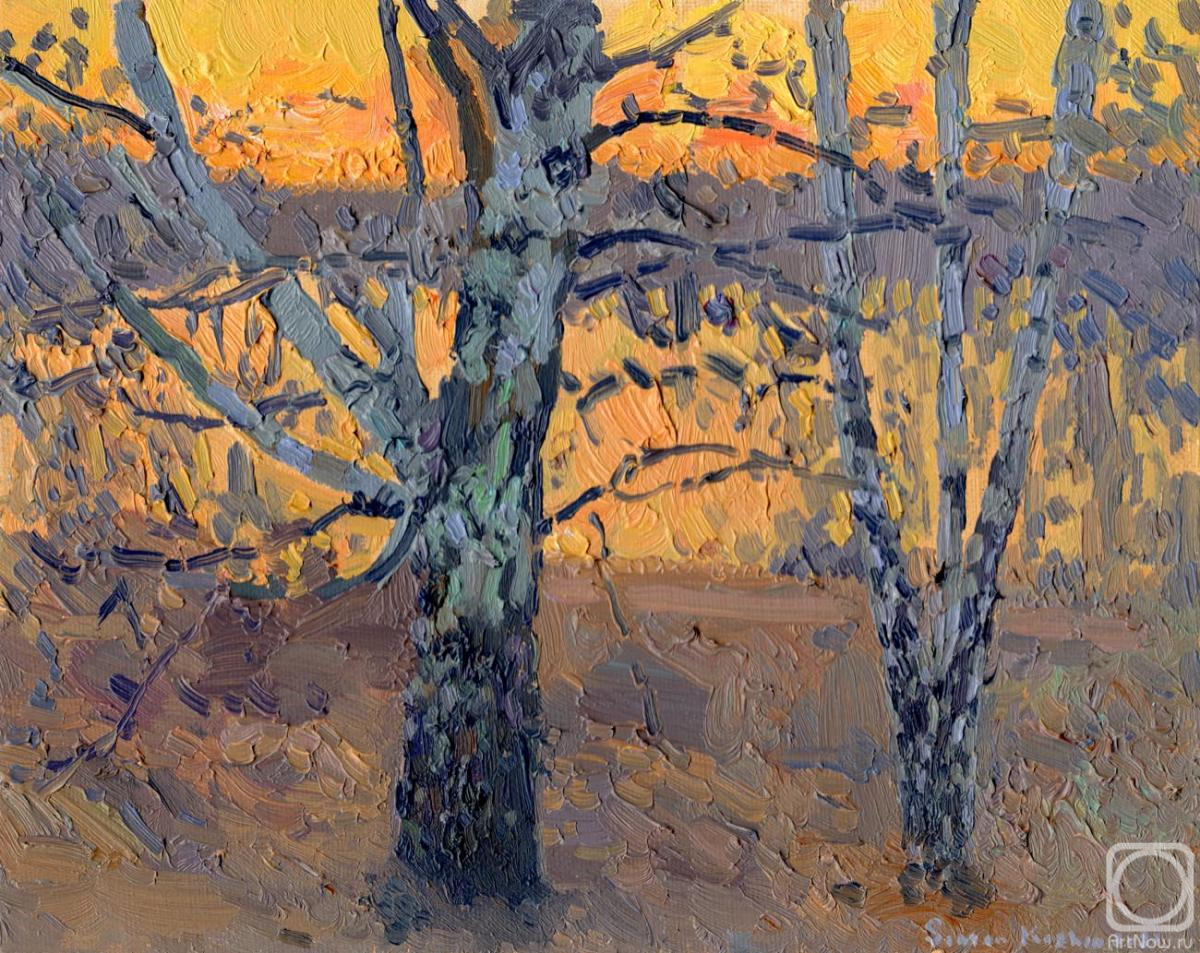 Kozhin Simon. April. Birch sunset