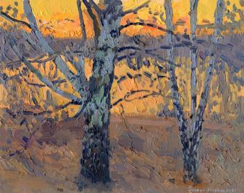 April. Birch sunset (Golden Birch). Kozhin Simon