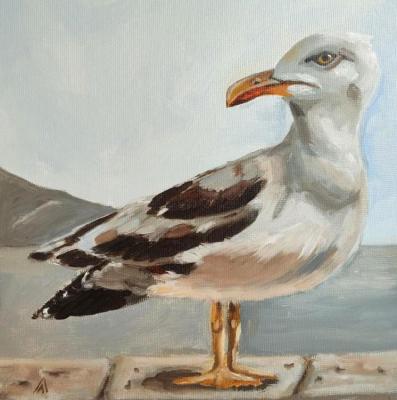Seagull (Bird Painting Art). Lapina Albina