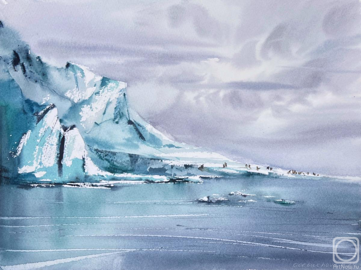 Gorbacheva Evgeniya. Antarctic