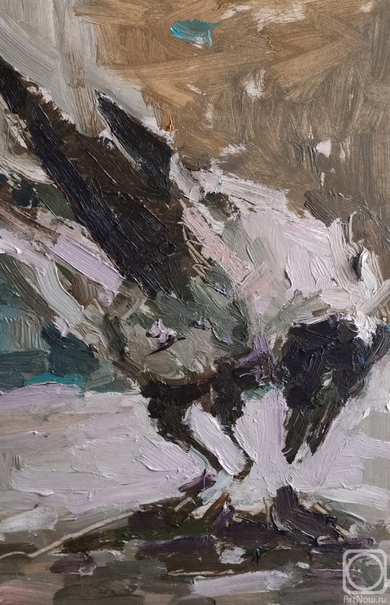 �������. ������� �������. ������