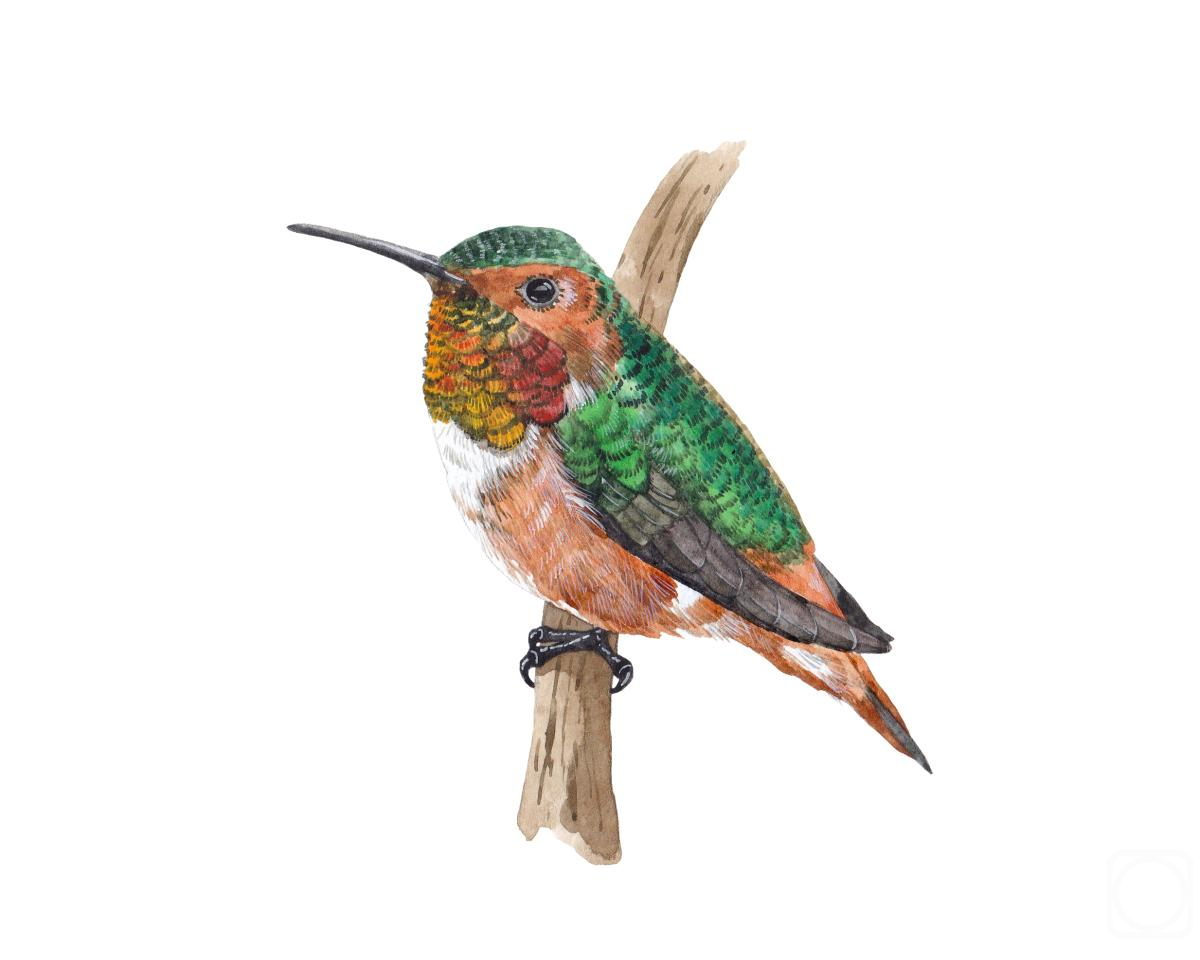 �������. �������� ���������. �����. �������