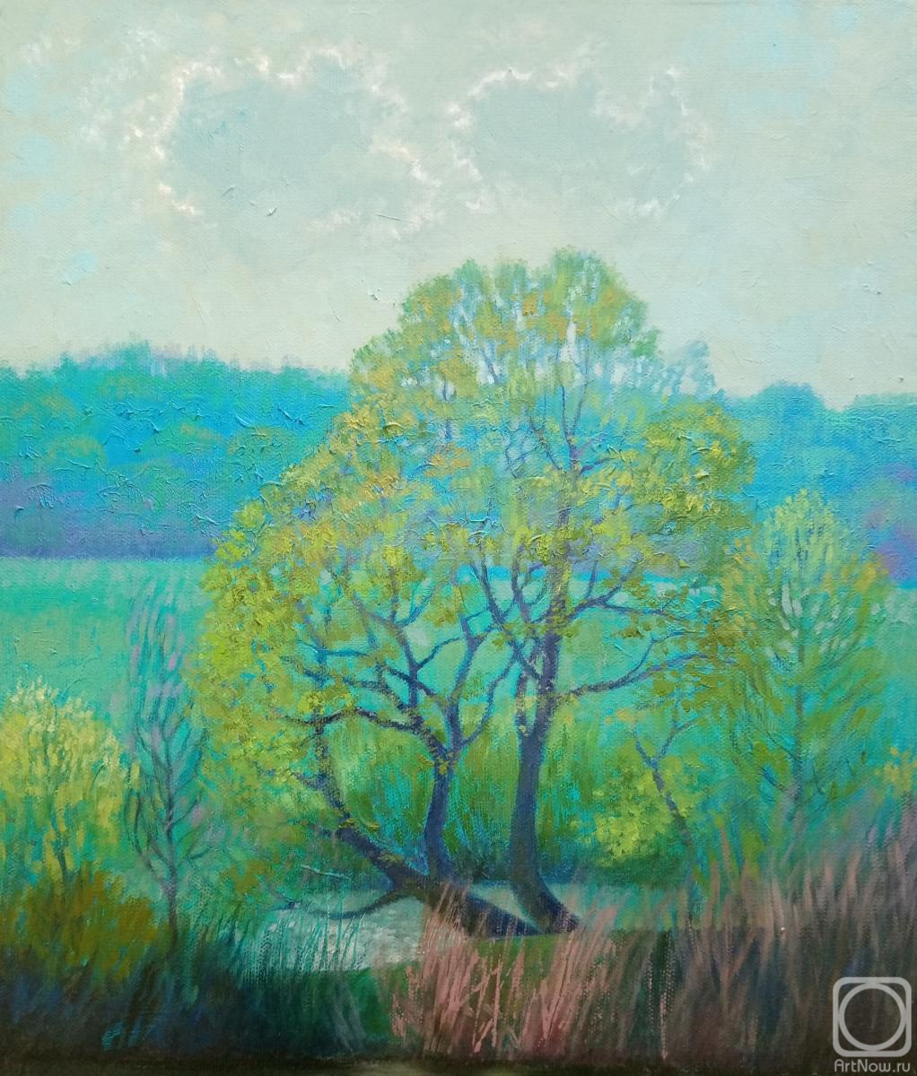 ������� ������ �� ������. ���������� �������. ����� (��������)