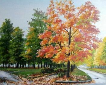 Autumn maple. Panasyuk Natalia