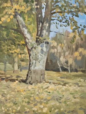 Autumn sketch. Lutsev Sergey
