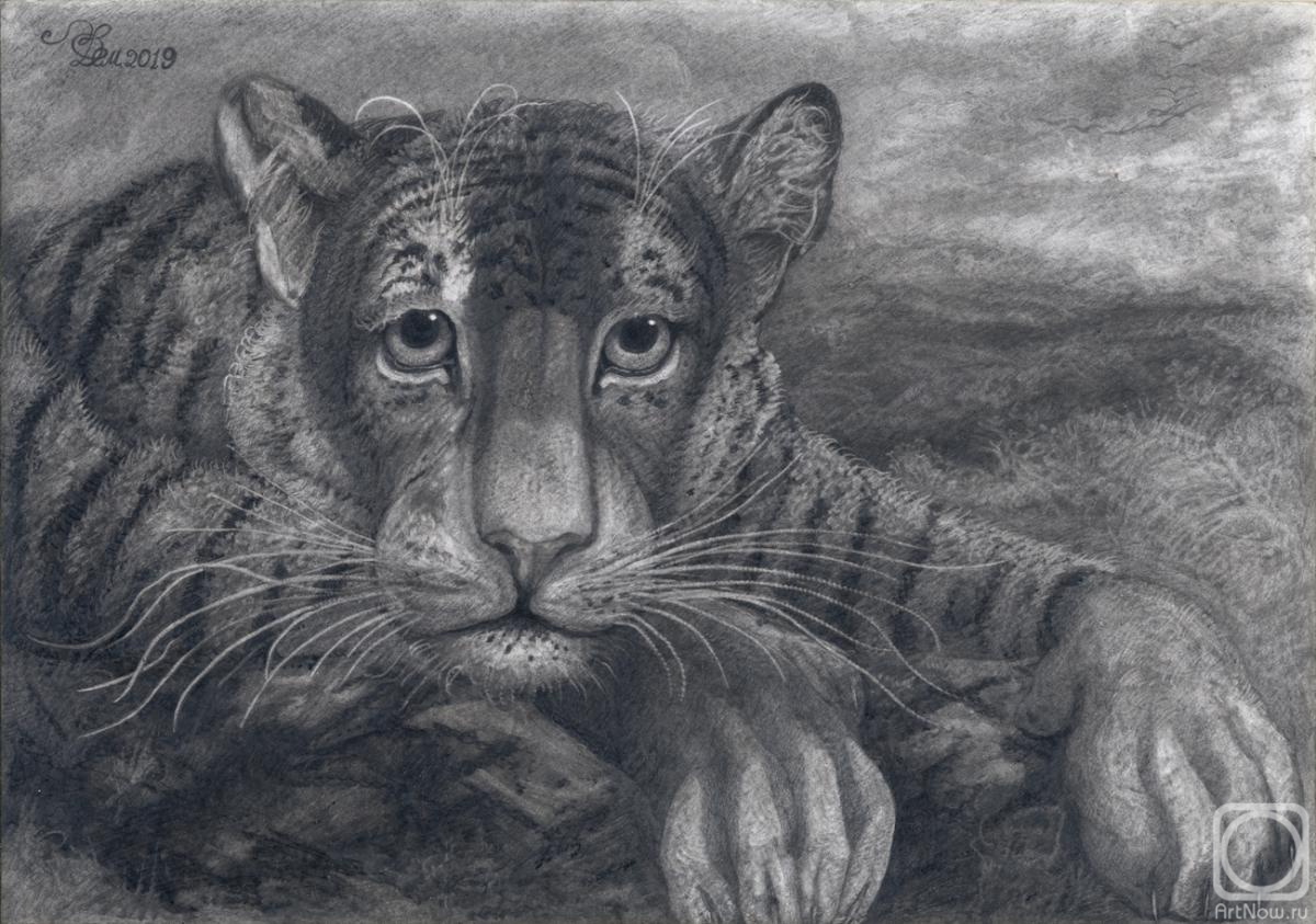 Dementiev Alexandr. Portrait of a tiger cub
