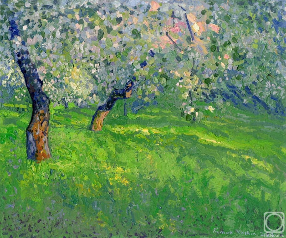 Kozhin Simon. The last rays. Apple trees in bloom