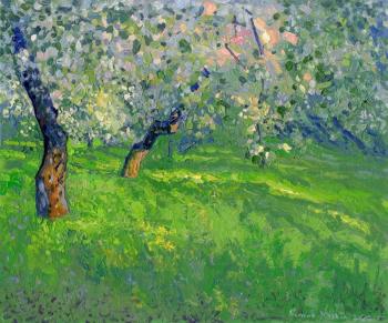 The last rays. Apple trees in bloom. Kozhin Simon