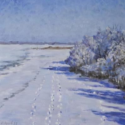 Winter day on the Volga. Lutsev Sergey