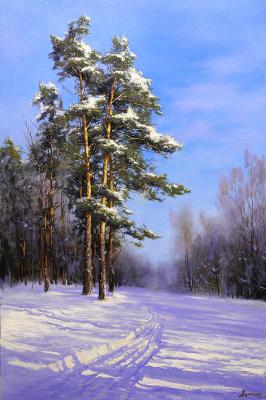 Pine (Ski Landscape). Nesterchuk Stepan