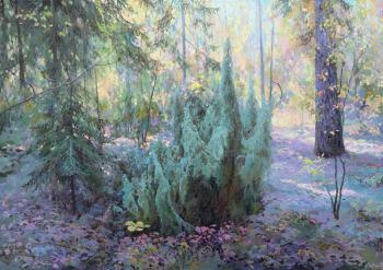 Juniper (Fallen Leaves). Sergeev Oleg