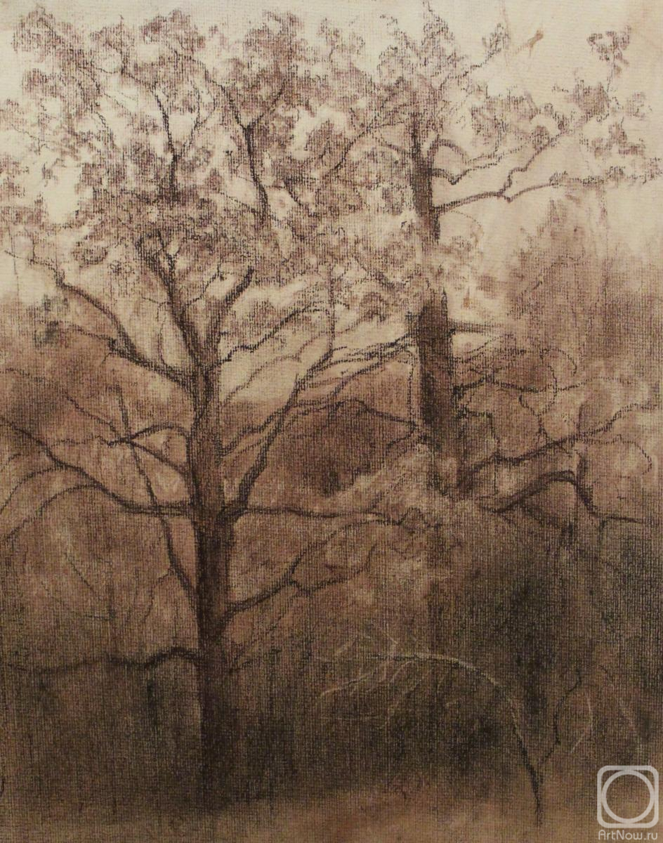 �������. ������ ������. ������ �������