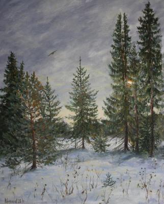 Warm December (Upper Sergi). Korepanov Alexander