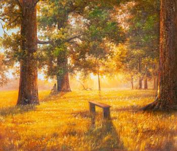 Golden dawn in the forest. Romm Alexandr