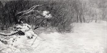 Snow-covered Branches (Element Of Water). Kozhin Simon