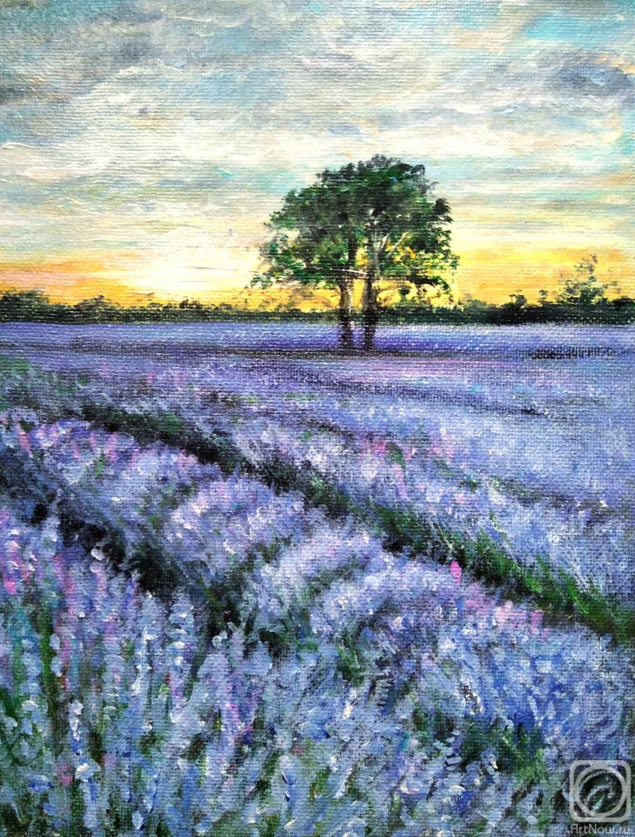 Rodionova Svetlana. Lavender landscape