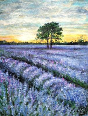 Lavender landscape. Rodionova Svetlana