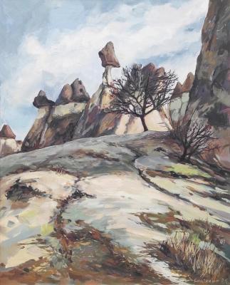 ����������. ��������� ������