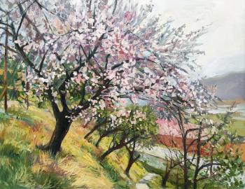 ������� �������