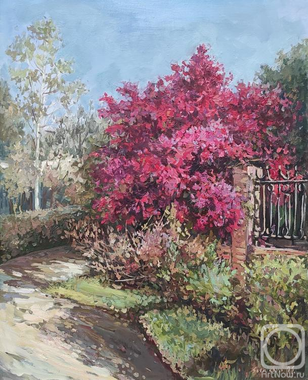 ������� ������ �� ������. ��������� ������. � ���� � ����