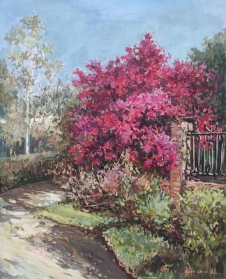 ������� �� ���� � �����