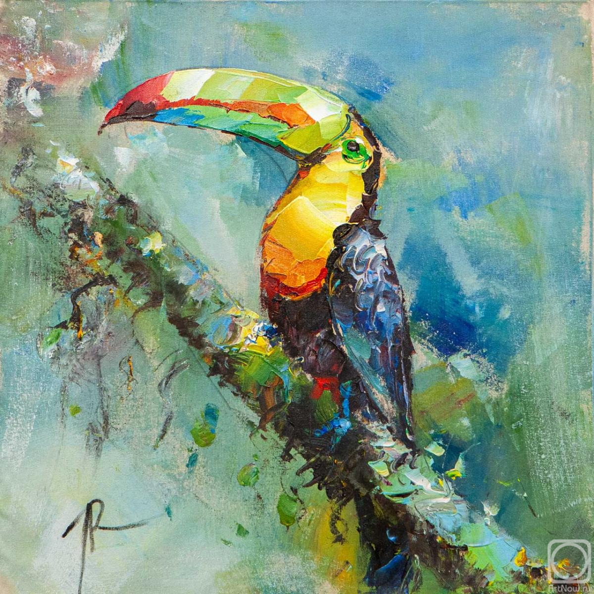 Rodries Jose. Toucan. In the rainforest