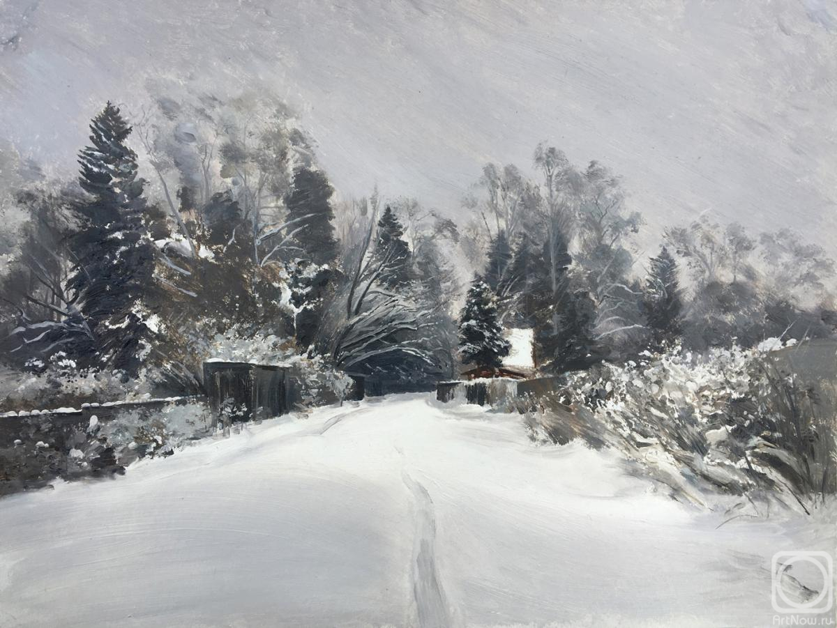 Mashin Igor. A winter day in December