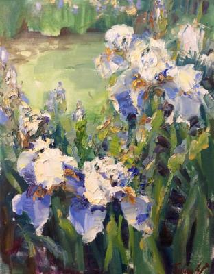 Irises in the garden (  ). Poluyan Yelena