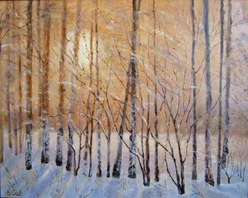 Winter Dawn (Beautiful Landscape). Savelyeva Elena