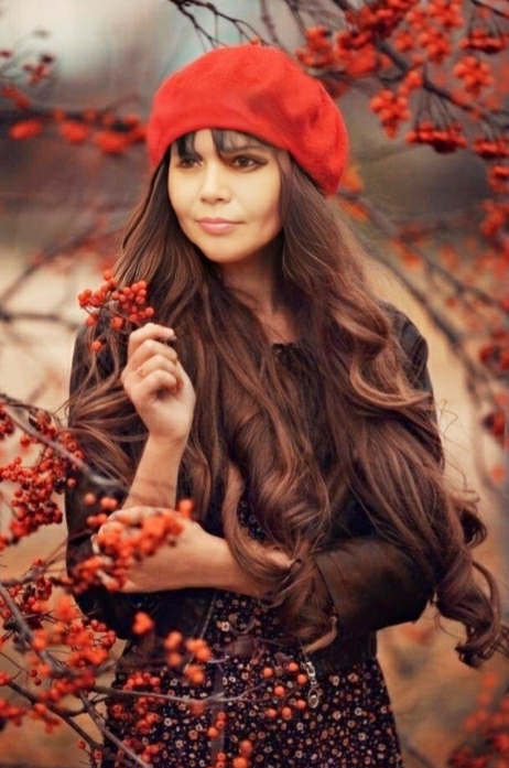 �������� ��������