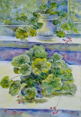 Geraniums bloom (Flowers In Watercolors). Abdullaev Vadim